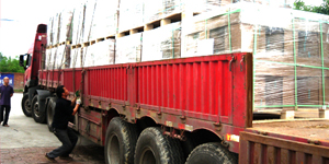 貿易事業のイメージ